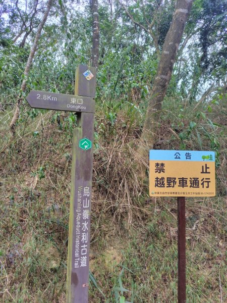 大棟山系南段 水利古道西口 上 竹高崙山 連走 鳥子嶺 坑仔內山 大崖山 下 龍目井農場2953143