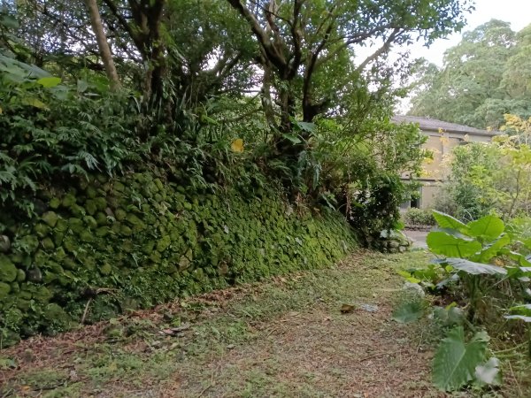 雙溪區聖南寺朝山古道+大竹林山(未果)2963584