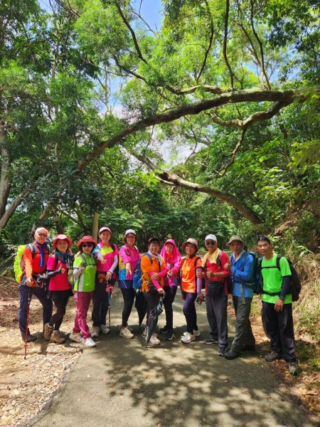 【員林】藤山步道連走萬里長城小O行2266156