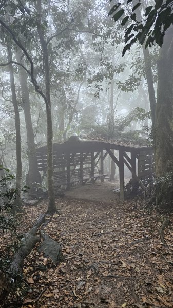 【撤退是智慧而非勇氣】17訪魔王小百岳-尾寮山。