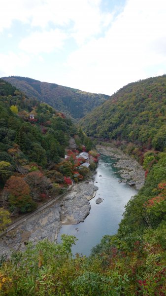 日本京都嵐山652089
