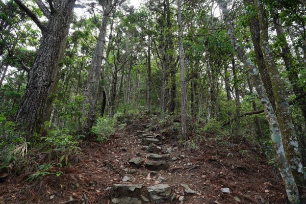台中 和平 馬崙山2796939
