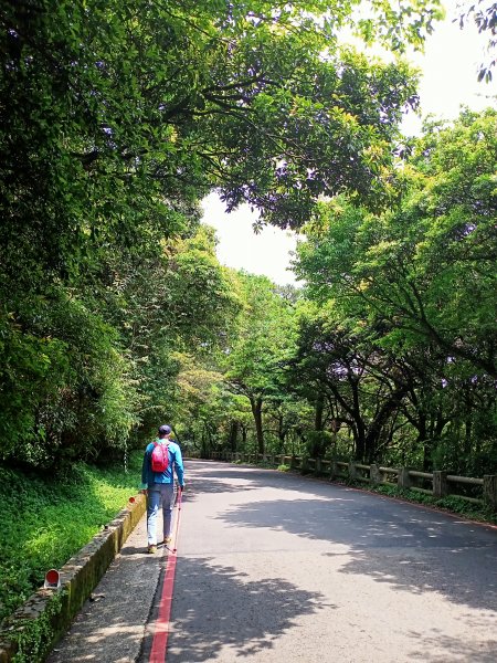 菜公坑山步道【走遍陽明山】2114037