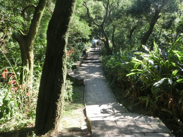 南港山縱走．麗山橋口步道封面