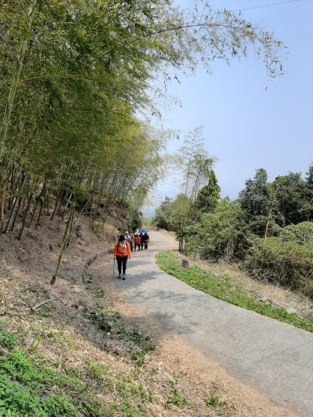 樟湖山、後棟仔山、大尖山、二尖山4山連走1337048