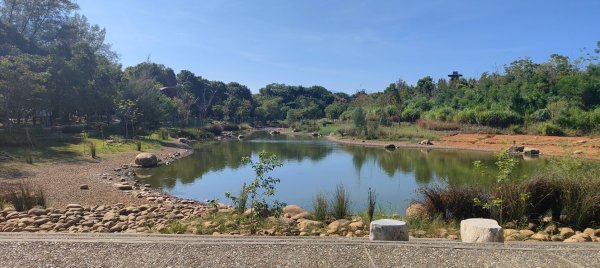 大湳森林公園2910965