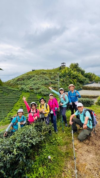 大崙山茶區山頭/民眾坪山 貓冬望山 大崙頭山 樟空倫山3101056