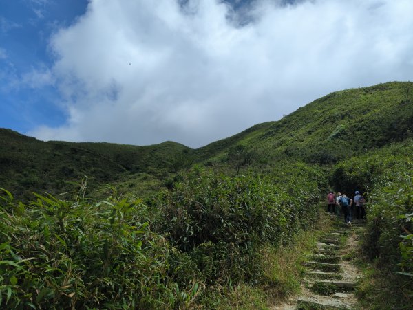 2024.07.20－抹茶山＆三角崙山，再次探訪2555356