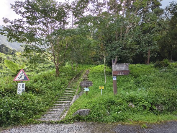 [百山百鳥尋旅-05/15] 2025_0830 溪頭賞鳥步道_賞鳥步道2875043