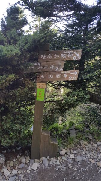 玉山主峰步道 2017 06 27140366