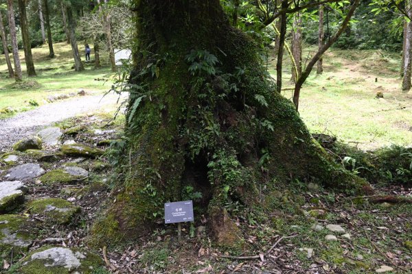 2025_0712 福山植物園2836321