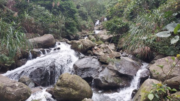 雲嘉九連峰1438985