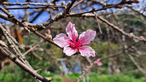台北大縱走第一段1249155