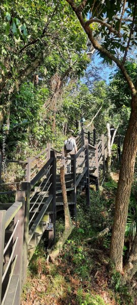 《台中》登山市集｜大坑9及9_1號步道上觀音亭202512202966541