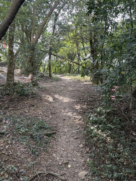 20251207笠頂山登山步道(第一登山口)2957672