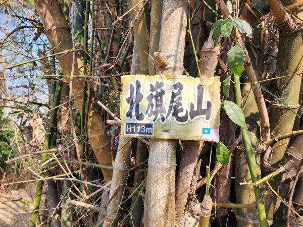 小百岳No.72⛰旗尾山3025189