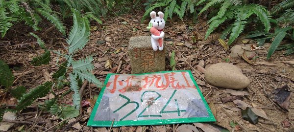 2025/08/17_三和晨光+石崎+背西步道O型2861583