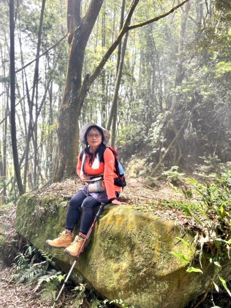 豹牙登山口上鳳凰山/小百岳#533069693