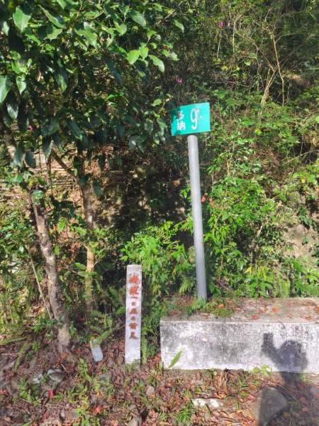 多納六秀 京大山2957580