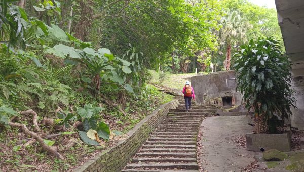 (姨婆趴趴走)第五十集:新北樹林大同山、青龍嶺、大棟山諸峰連走2751530