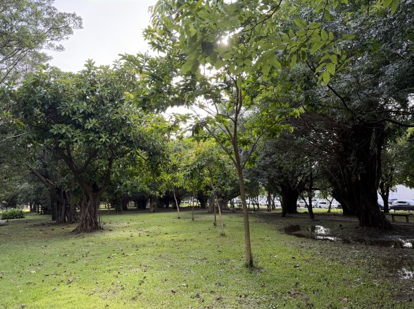 [2026臺北健走趣-05/50] 2026_0712_美崙公園3097865