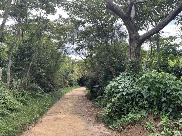 [皮皮獅探險隊-05/10] 2025_0706 石光古道2831853