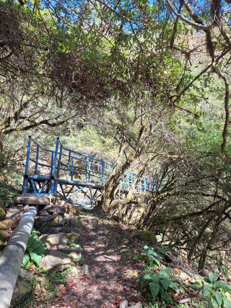 石山引水道202512112959541