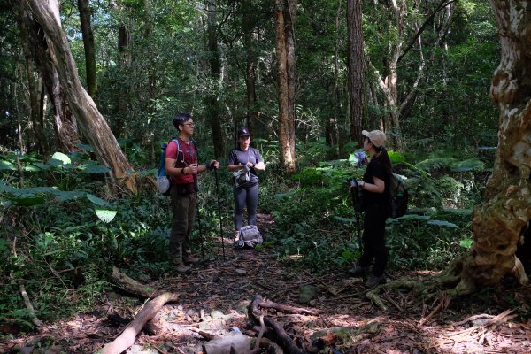 新竹尖石鄉 煤源社區上李棟山、大混山出凌空廊道2550500