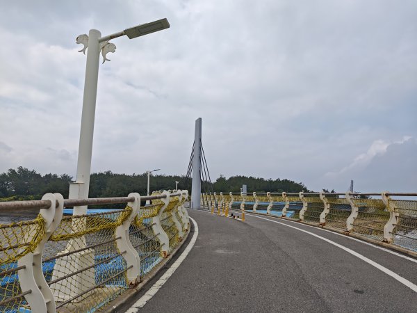 [霄裡好風光，運動樂悠遊！-4/10] 2025_0608 新屋綠色走廊自行車道2808133