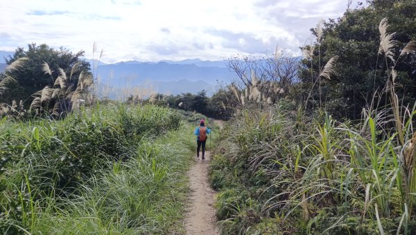 (姨婆趴趴走)第三十八集:攀登新北石碇小格頭獅頭山，探訪翡翠水庫的鱷魚島、千島湖、土虱頭景觀2416803