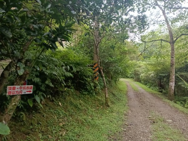 雙溪區中坑古道西線+中坑西山+內盤山土地公廟+中坑古道P字走2895310