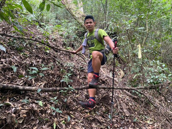 南東眼山.夢谷瀑布【好像是中級山探勘路線的荒山野嶺】2630632