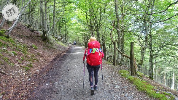 【勇氣2.0朝聖之旅】 D1庇里牛斯山賞雲海652990