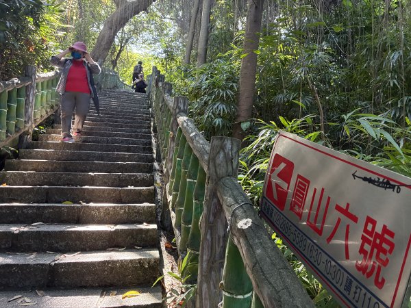 台北大縱走2026｜💎尋寶穿越蝴蝶蘭步道！第五段｜劍潭(山)→文間山→忠勇山→碧山巖3066726
