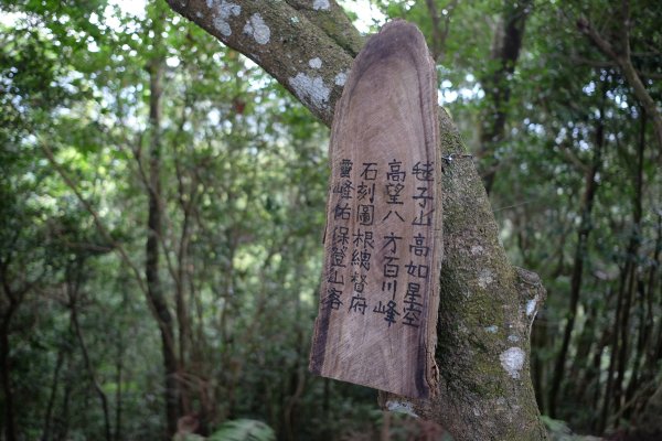 橫山五連峰 | 田薯麒麟縱走1802802