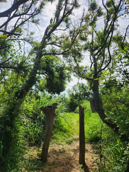 1140419龍港連走白沙屯(含好望角,牧羊古道,舊鐵道,海角樂園,山邊媽,白沙屯)2767292