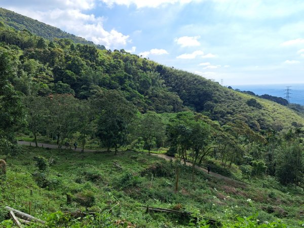 台南關子嶺枕頭山，大凍山，雞籠山步道3123320