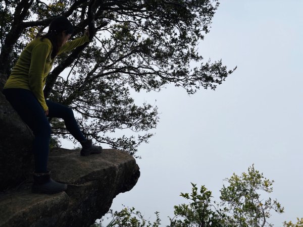 龍麟山步道（王爺崙2703650