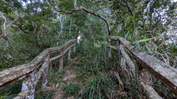 九份二山步道2861233