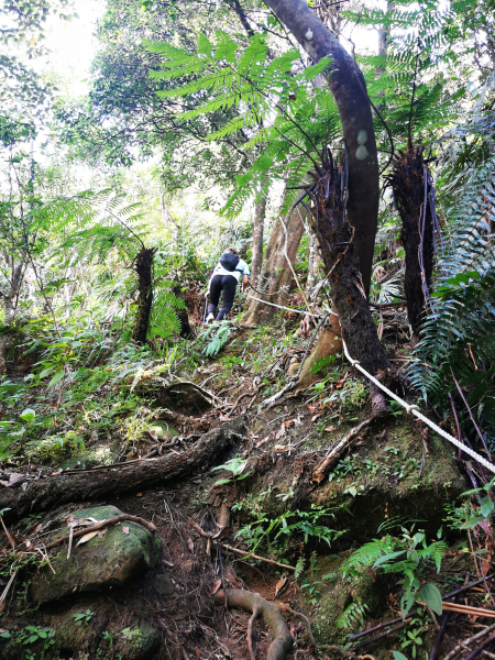 九華山福德宮-平溪子山-台和煤礦-北43鄉道-106縣道