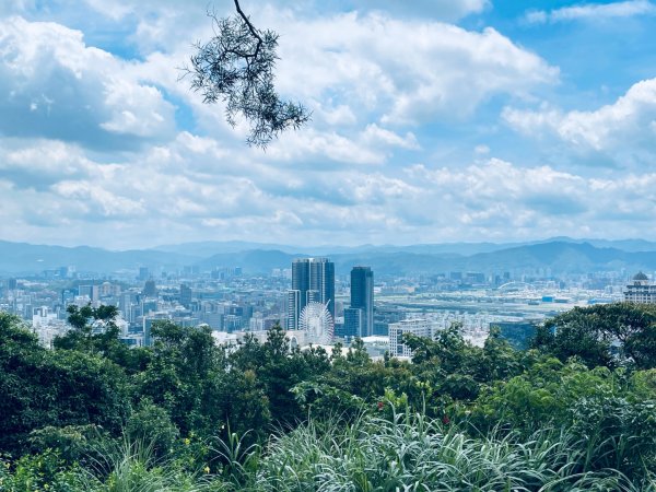 20250713 臺北大縱走第五段（劍潭到碧山巖）2835414