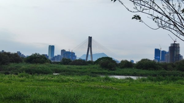 台北大縱走第八段2504038