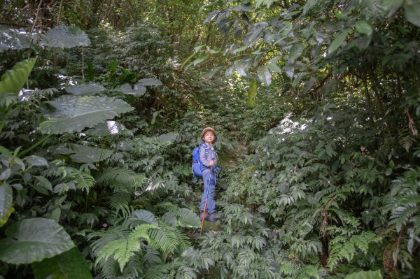 闊瀨古道-沿北勢溪谷而行的夏末之旅（淡蘭古道）2287649