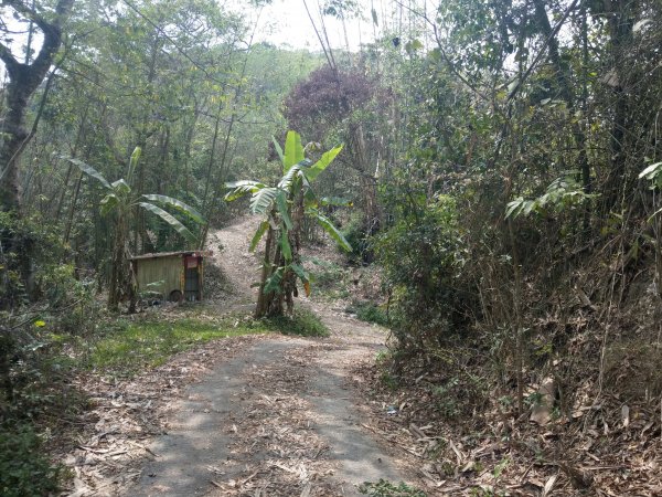 白雲山(小百岳#69)步道1377507