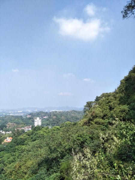 大社觀音山步道1907718