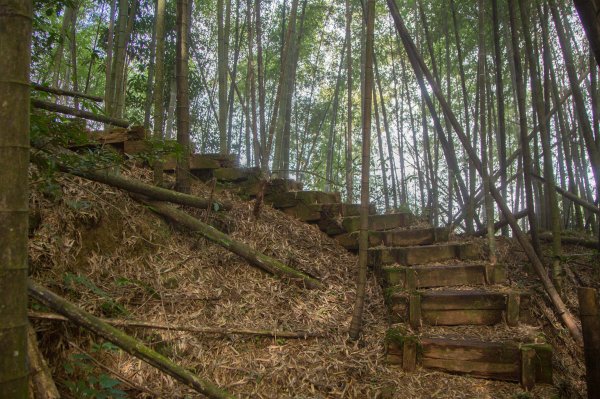 步道巡訪員 l 四大天王山步道第11巡～1177766