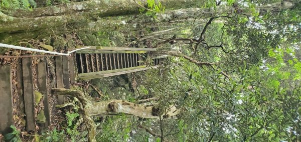 橫沙迪O型縱走_大雪山社區登山口2826547