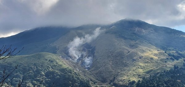 2023-11-23陽明山東西大縱走-西縱走（小油坑～清天宮）2358502