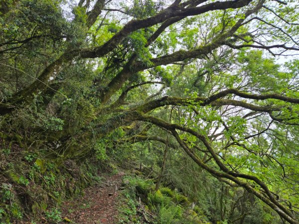 石山引水道2758977