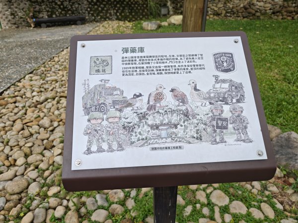 [霄裡好風光，運動樂悠遊！-6/10] 2025_0608 大湳森林公園2808221